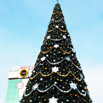 Где в Краснодаре установлены новогодние елки 2016?
