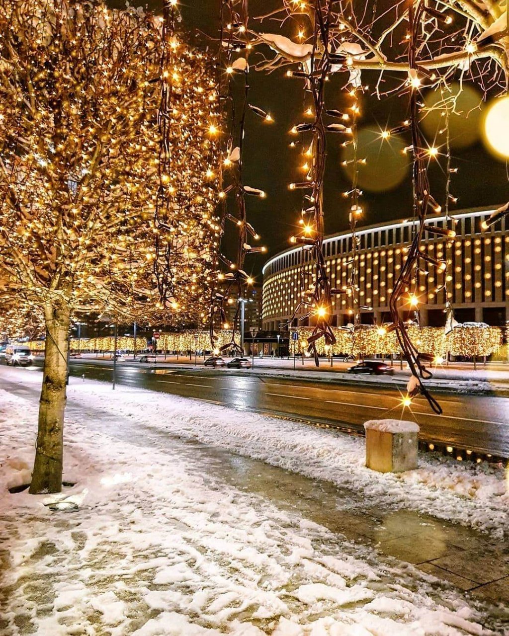 Парк Галицкого украсили к новогодним праздникам